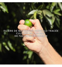 Aqua Allegoria Harvest - Mandarine Basilic - Eau de Toilette Aqua Allegoria Harvest - Mandarine Basilic - Eau de Toilette